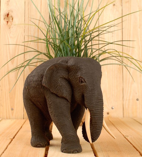 Elefant mit Rüssel unten aus Holz